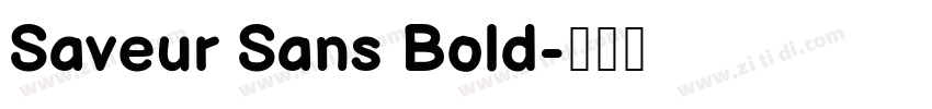 Saveur Sans Bold字体转换